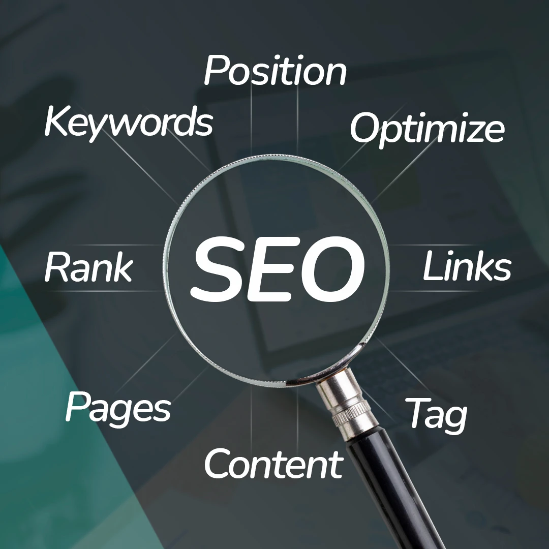 the search engine optimization world